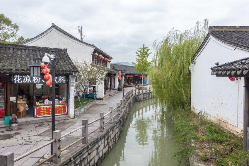 小长颈鹿逃离